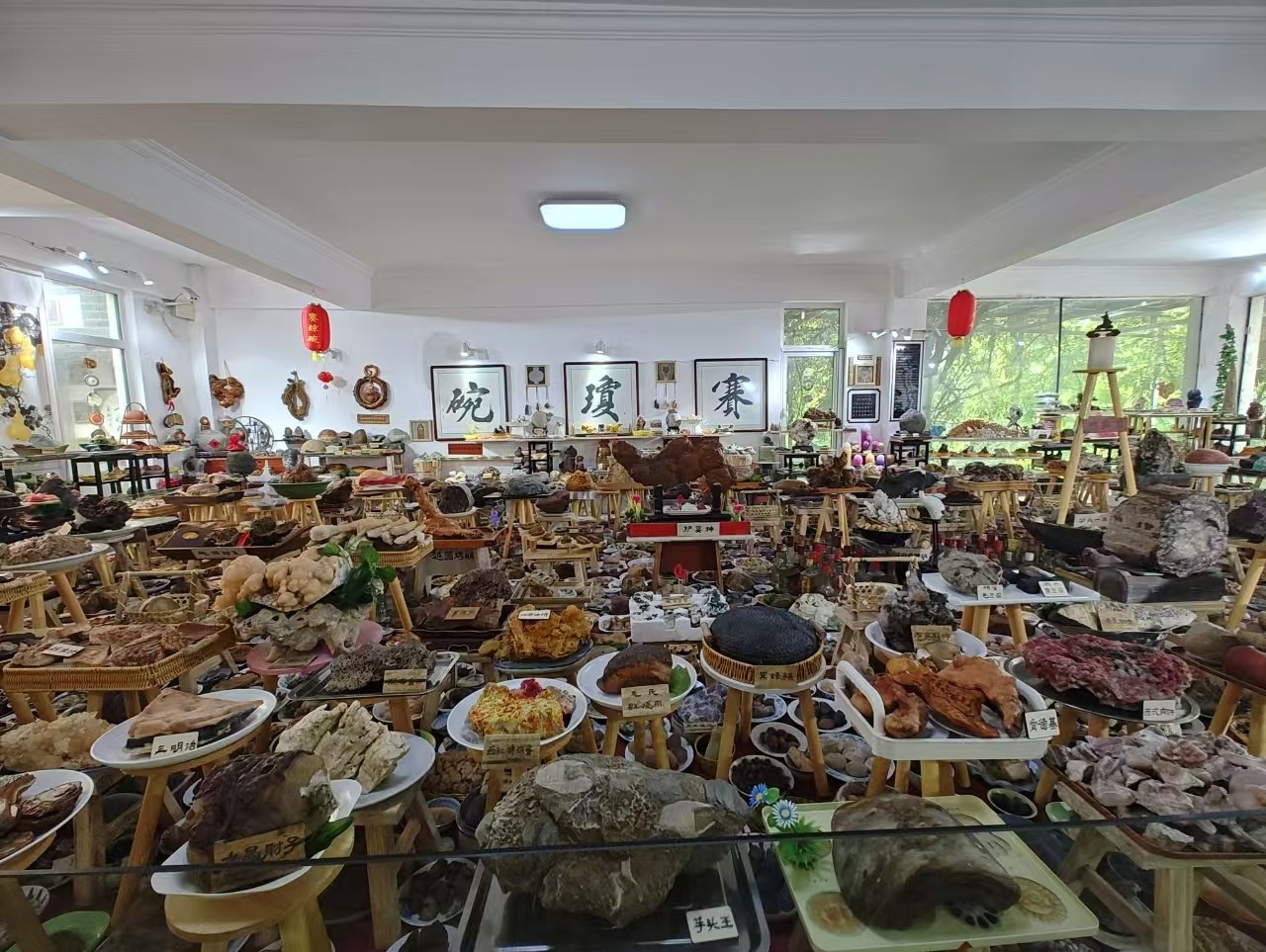 微信图片_2025-08-01_140148_987.jpg